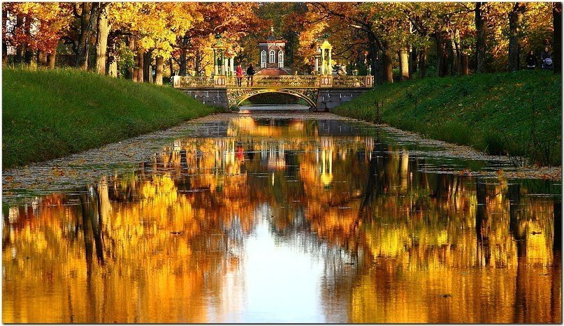Осенний Брянск Фото