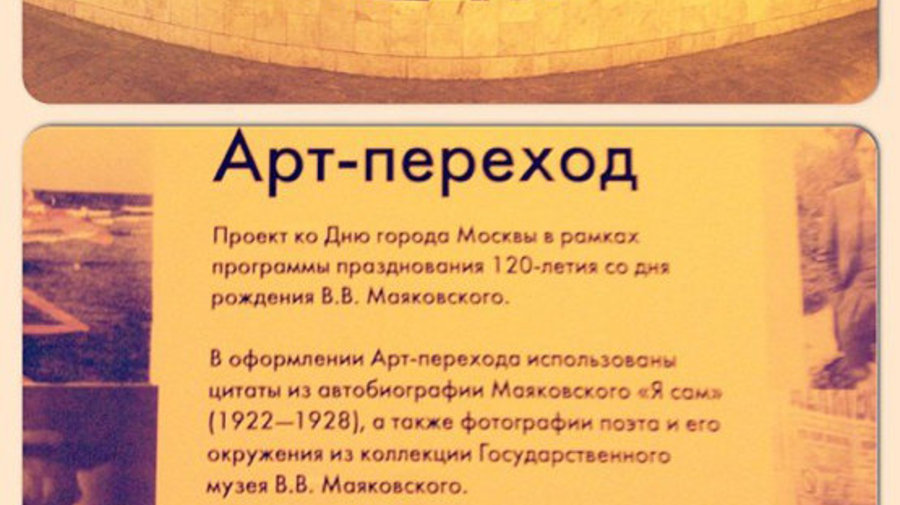 Московские музеи превратили подземные переходы в галереи