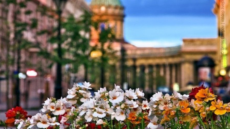 Каким будет лето в Петербурге