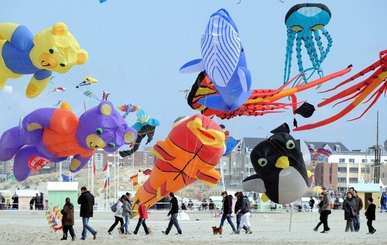 Пушкинский международный фестиваль воздушных змеев