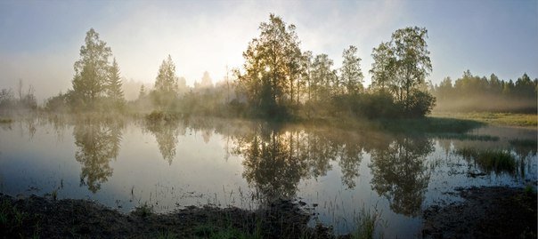 Выставка «Удивительное рядом. Фотомир Олега Трубского»