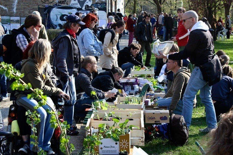 В Петербурге пройдет свободный обмен растениями