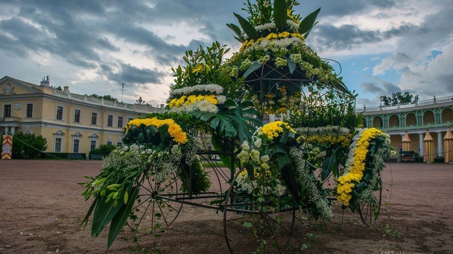 Аллеи Павловского парка украшают флористические композиции