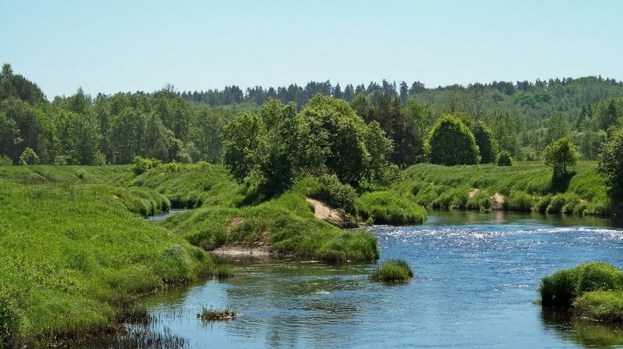 Плюсса
