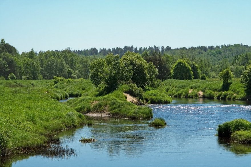 Плюсса
