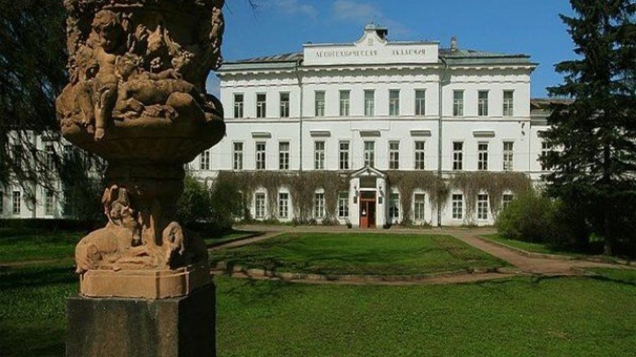 peterburg.ru