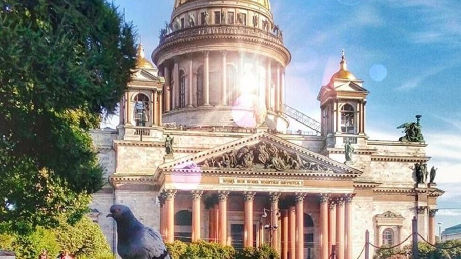 Всю неделю в Петербурге будет солнечно