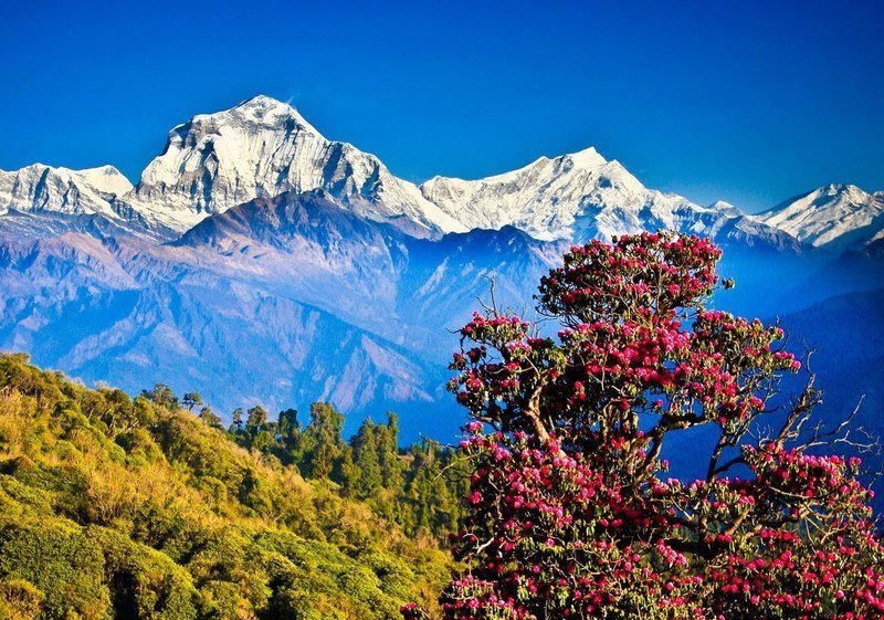 «Точка сборки: Непал-фест» 