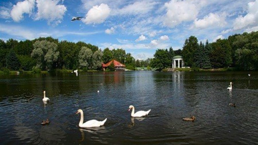 fotki.yandex.ru