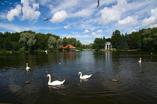 Приморский парк Победы