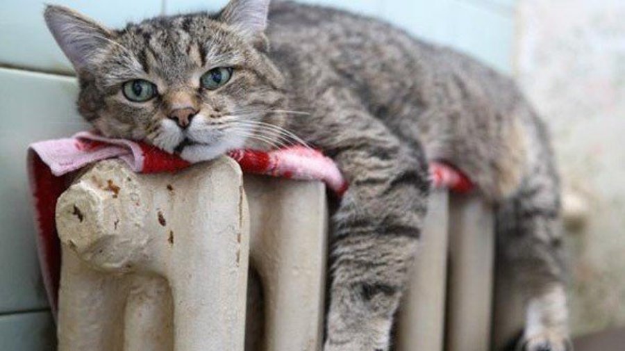 Отопительный сезон в Петербурге начнется 30 сентября