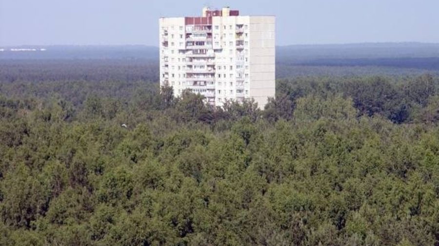 Маленький секрет Санкт-Петербурга