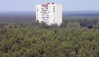 Маленький секрет Санкт-Петербурга