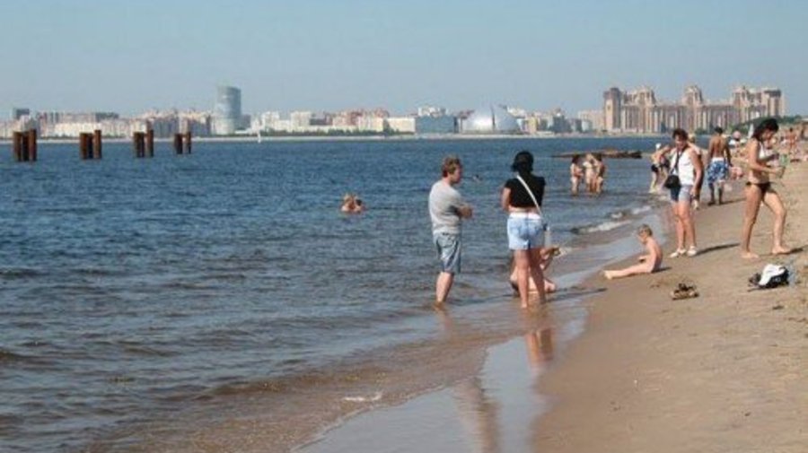 Следующим летом в Финском заливе можно будет купаться
