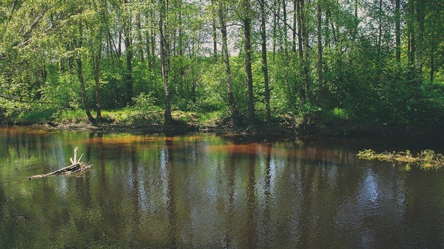Гладышевский