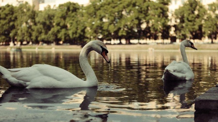 http://blogs.privet.ru/user/yul-chik_974/114546970/