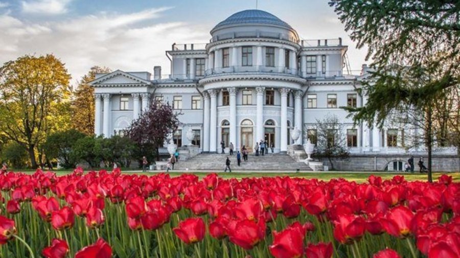 140 тысяч тюльпанов 120 сортов высадят в ЦПКиО