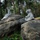 Парк «Марьина гора»: «Могила любви» и таинственный остров, ушедший под воду 