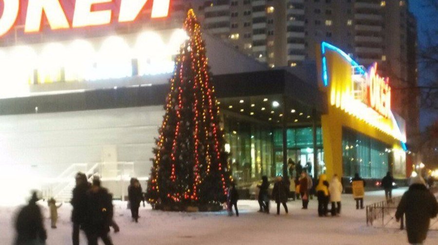 На проспекте Науки установили первую новогоднюю ель 