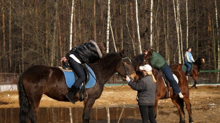 http://lesnoe-horses.narod.ru/zan/data/images/photoshare.ru-5079896.jpg