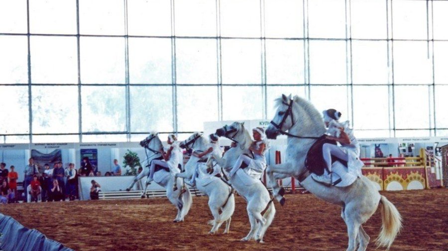 http://www.moscowzoo.ru/zoom.asp?I=/images/c192_02b.jpg