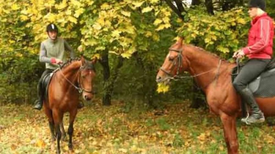 http://ua.ukrainecityguide.com/articles/showArticle/A103