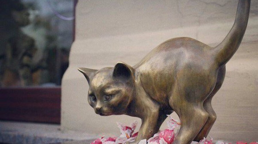Памятник котёнку вернется на улицу Якубовича на следующей неделе