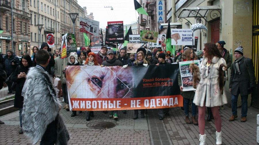 По улицам Северной столицы пройдет Антимеховой марш
