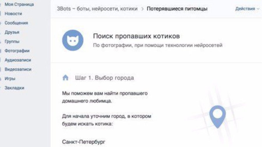 В Петербурге создали приложение для поиска потерявшихся животных с помощью нейросетей
