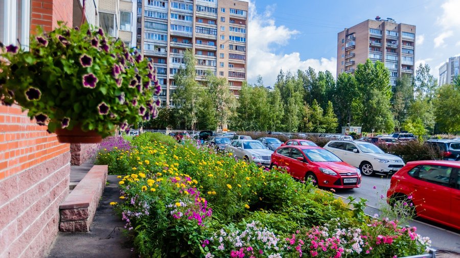 Приморский и Калининский районы признали самыми благоустроенными в городе