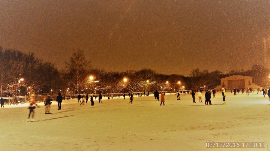 В Московском парке Победы залили открытый каток 