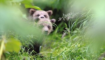 7 самых интересных выставок октября