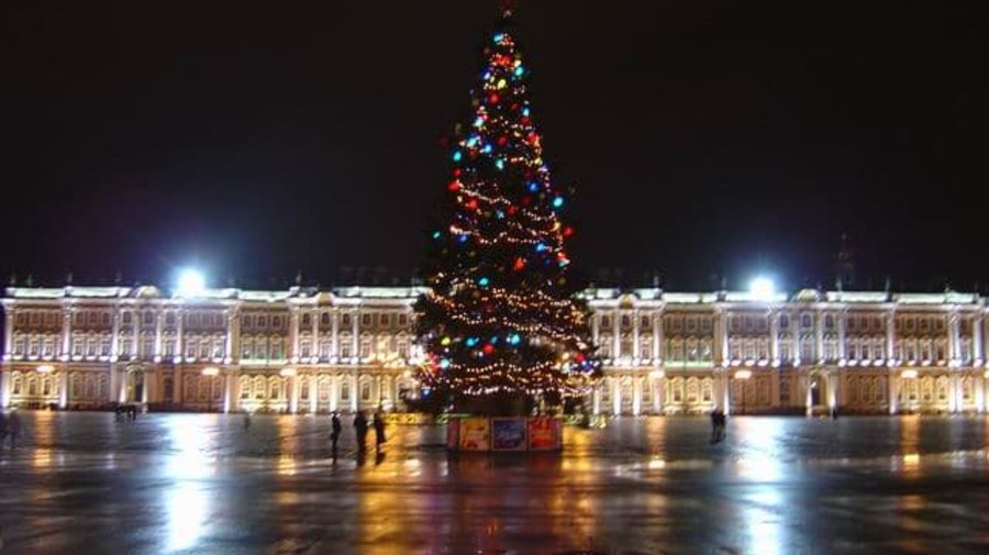 На Дворцовой может появиться живая ель