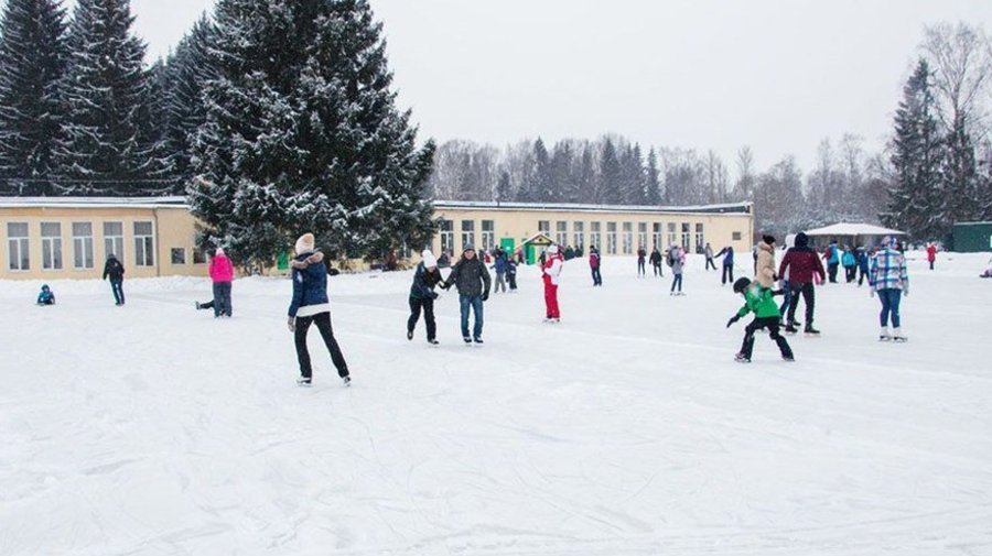 Бесплатный каток в Павловске