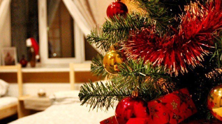 Отпраздновать Новый год или провести новогодние каникулы можно в Like Home Hostel в центре города