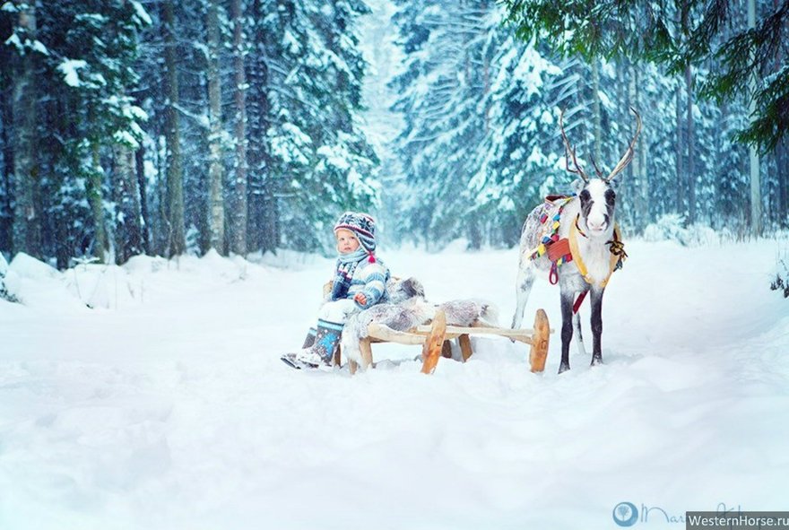 Конный клуб Western Horse