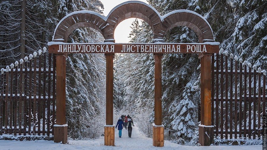 Линдуловская роща