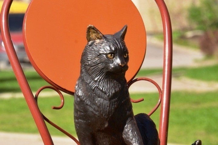 Памятник кошке