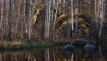 Загородная поездка: Тиверское городище и окрестности 
