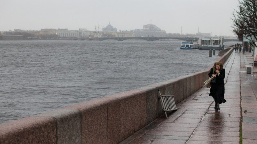 В Петербурге по-прежнему сильный ветер