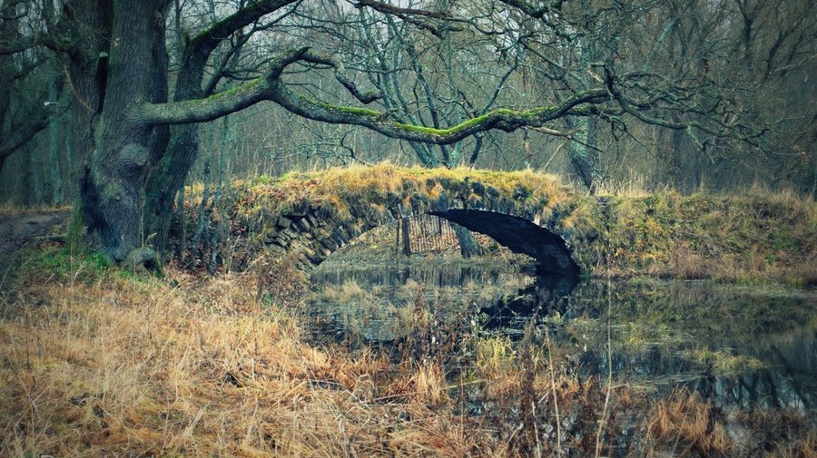 Таицкий парк