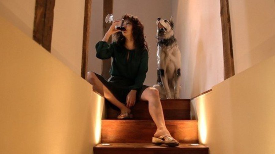 http://gogolcenter.com/events/performance/gogol-kino-otkrytie-premera-filma-kim-ki-duka-mebius/