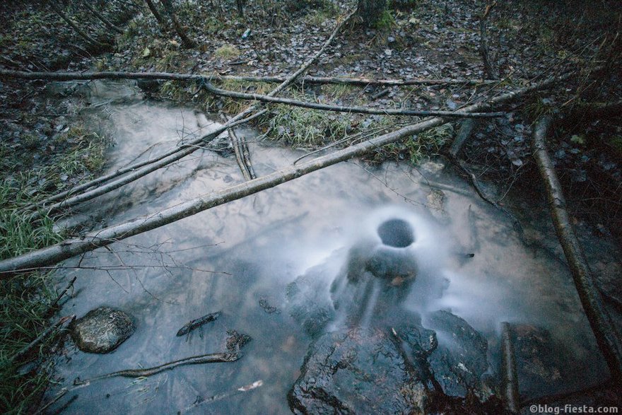 Фото: Николай Щеголев