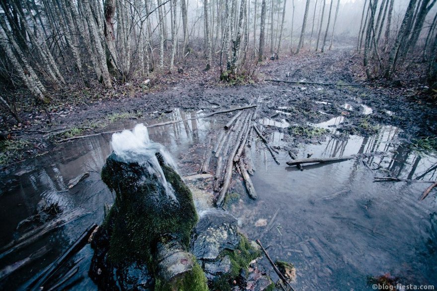 Фото: Николай Щеголев