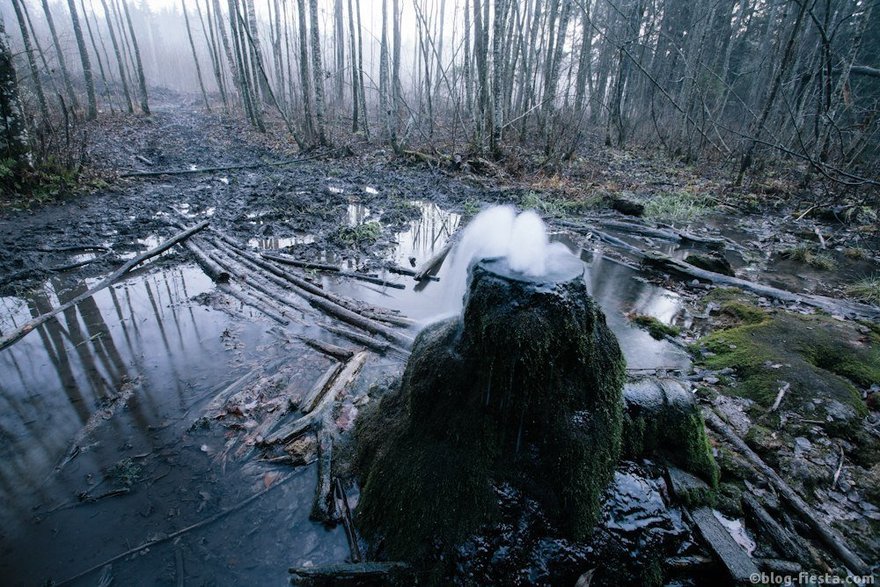 Фото: Николай Щеголев