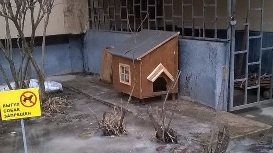 Домики для бездомных кошек установили на Яхтенной улице