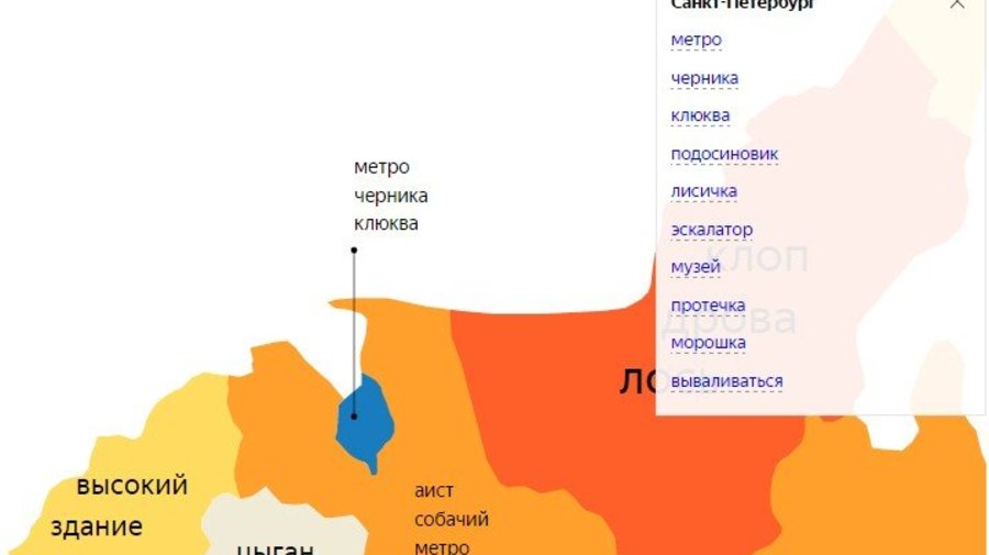 Исследователи выяснили, что чаще всего снится петербуржцам
