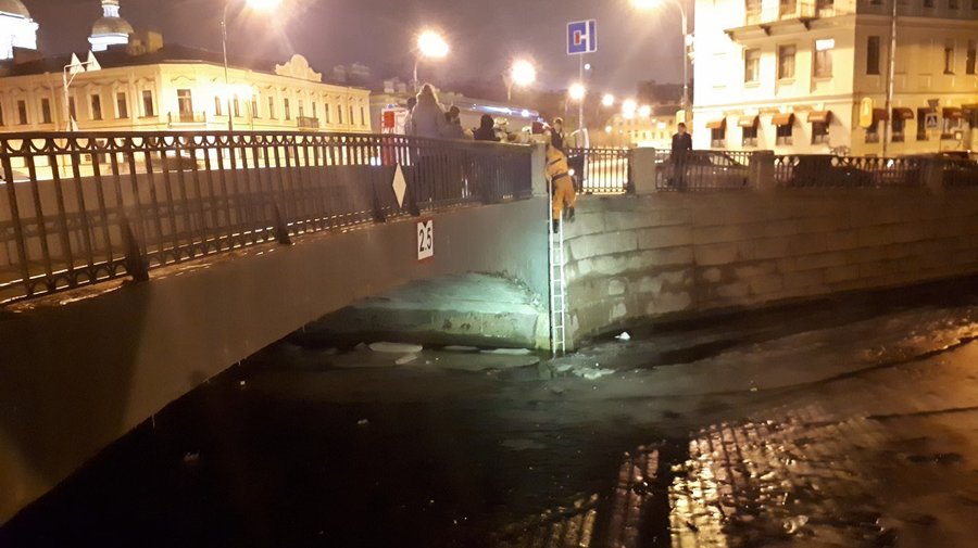 Петербуржцы спасли кота из канала Грибоедова 