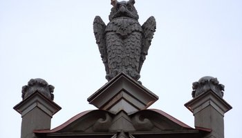 20 петербургских домов с совами