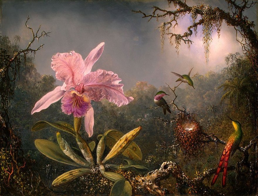 Выставка орхидей «Осколки радуги»